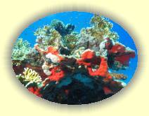 IMG_2007_05_27 18_31_04 * 2238 x 1674 * (604KB)